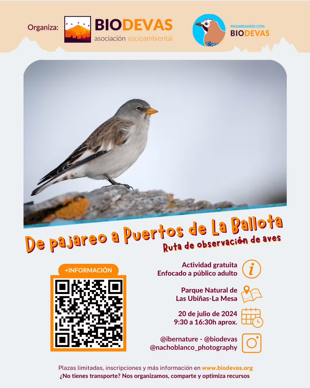De pajareo a Puertos de la Ballota