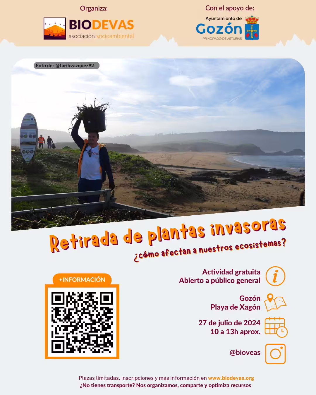 Retirada de plantas invasoras
