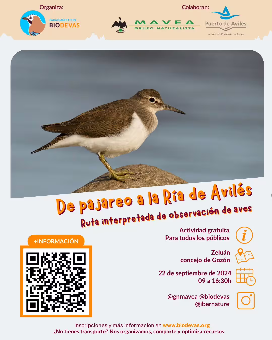 De pajareo a la Ría de Avilés