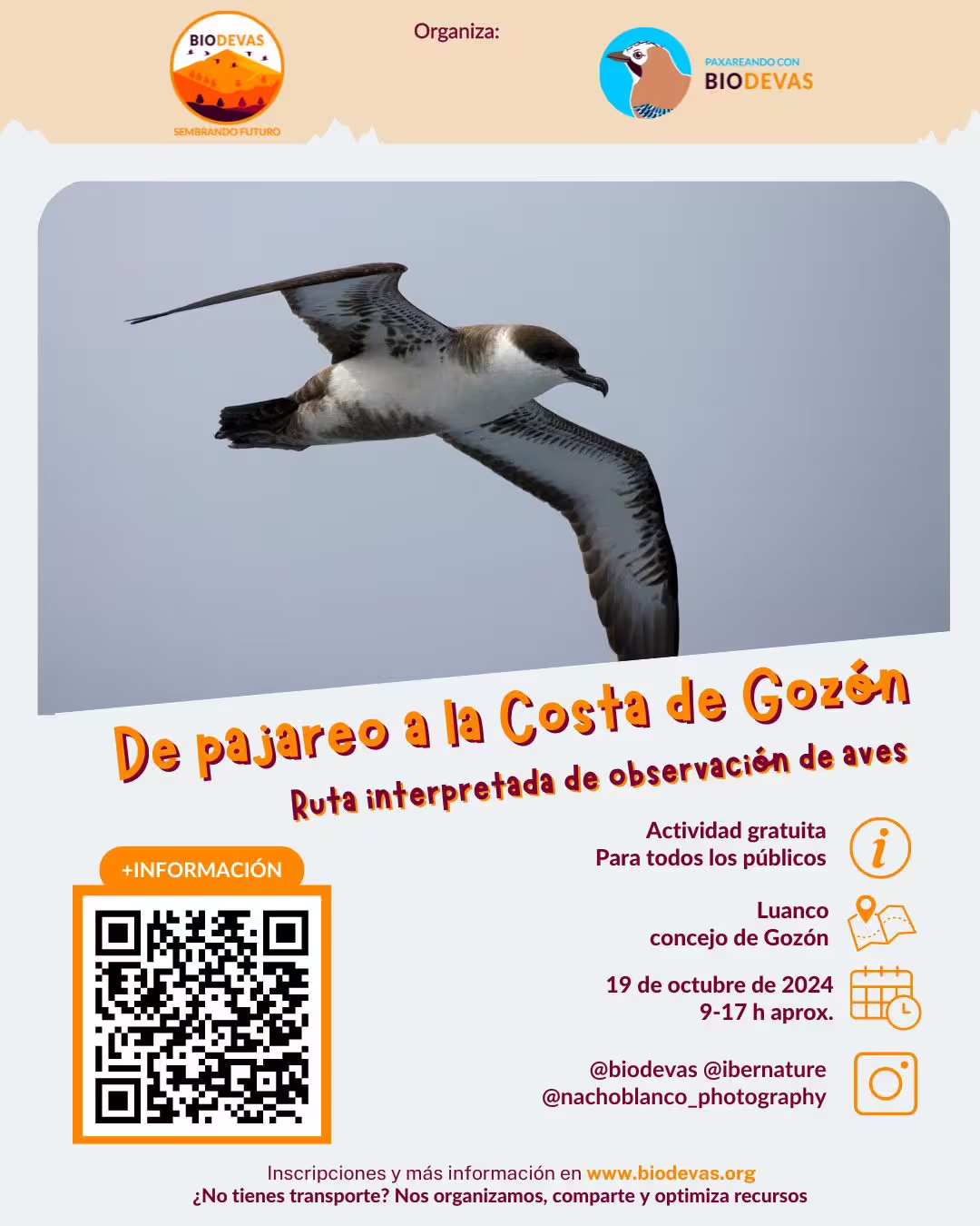 De pajareo a la costa de Gozón