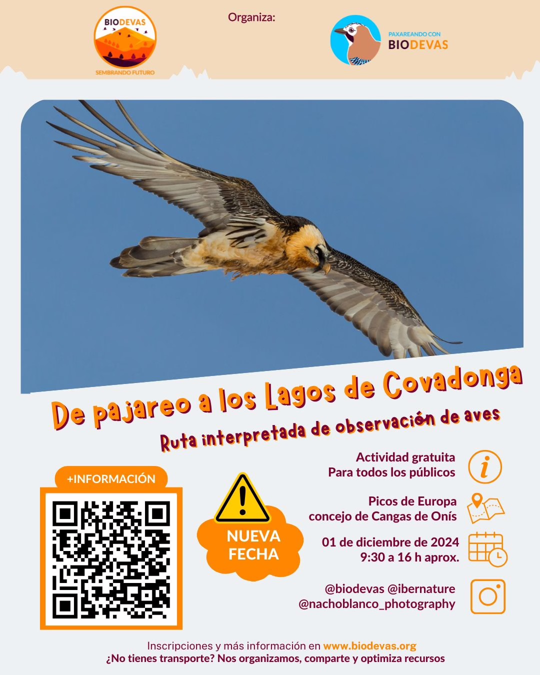 De pajareo a Lagos de Covadonga