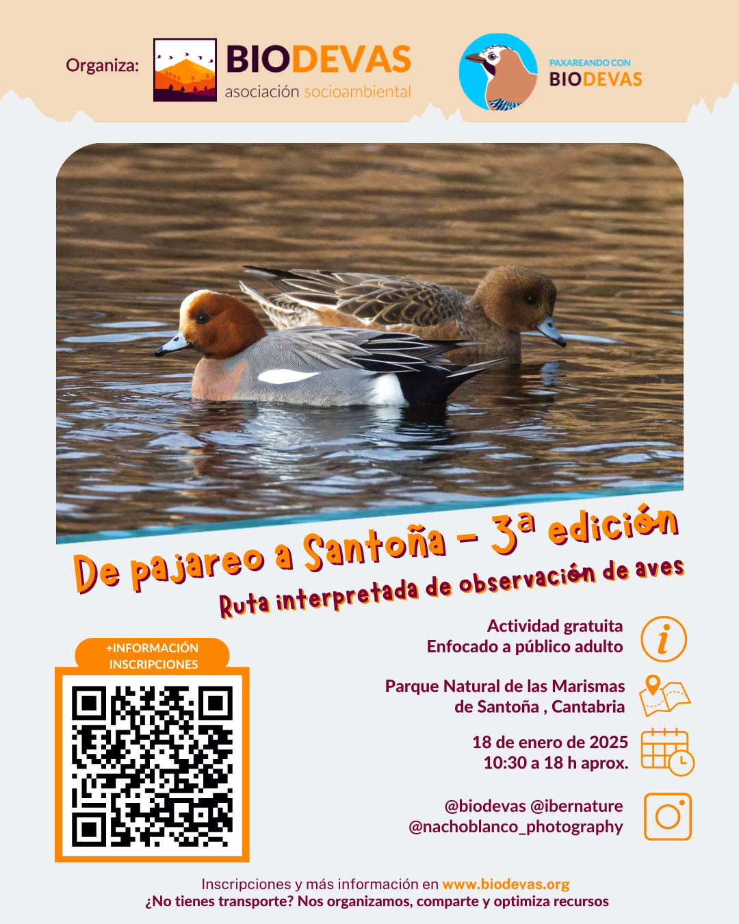 De pajareo a Santoña