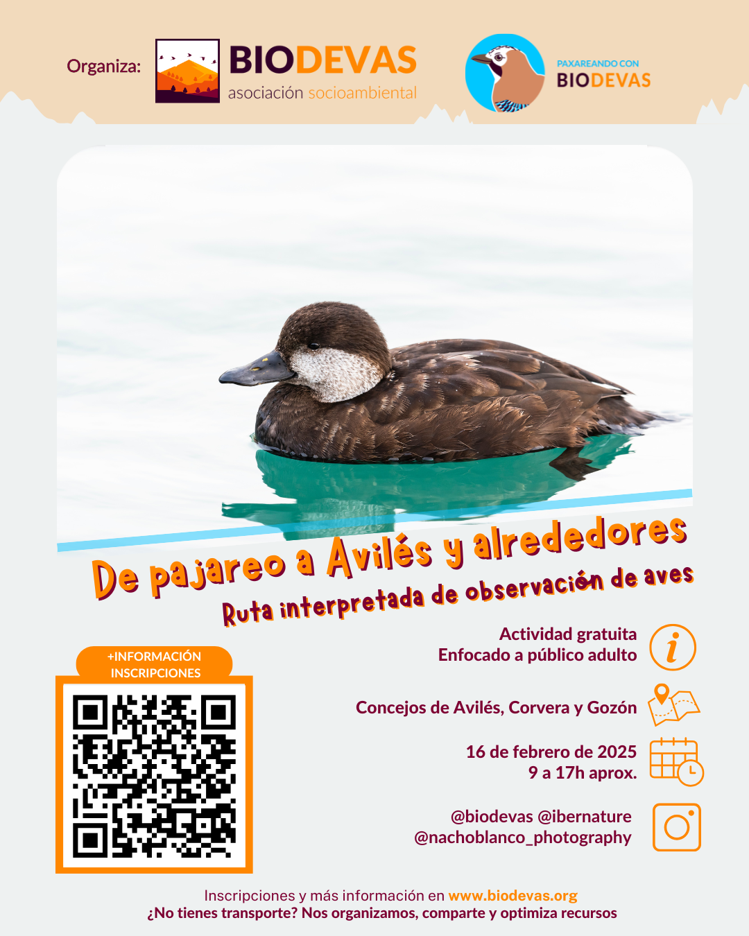 De pajareo a Avilés y alrededores.