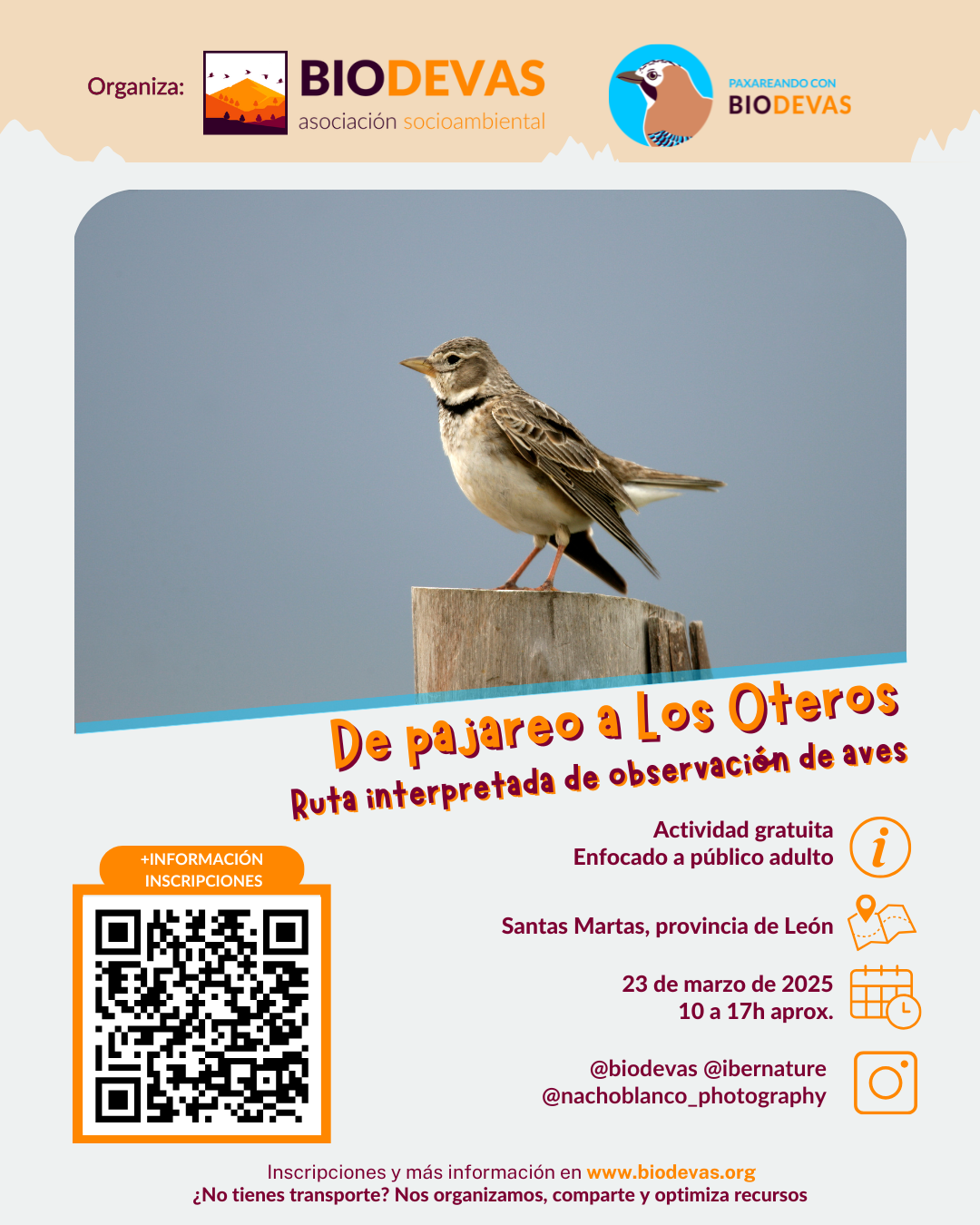 De pajareo a Los Oteros