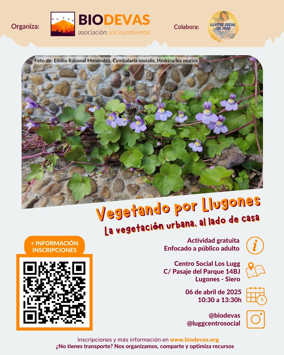 Vegetando por Llugones – La vegetación urbana, al lado de casa