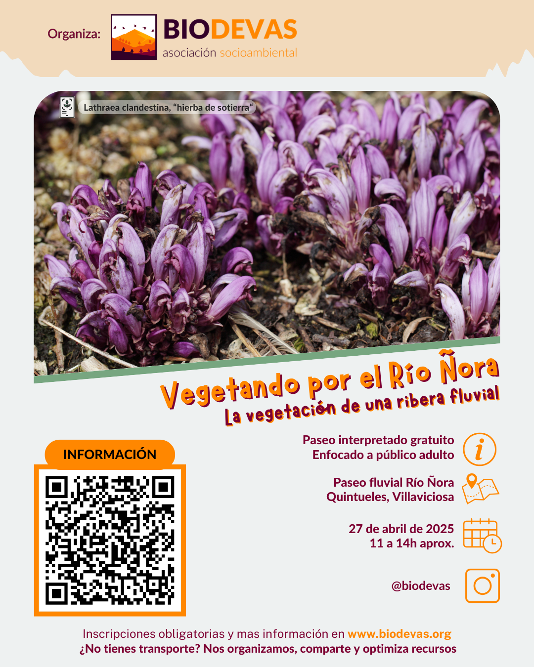 Vegetando por el Río Ñora. La vegetación de una ribera fluvial.