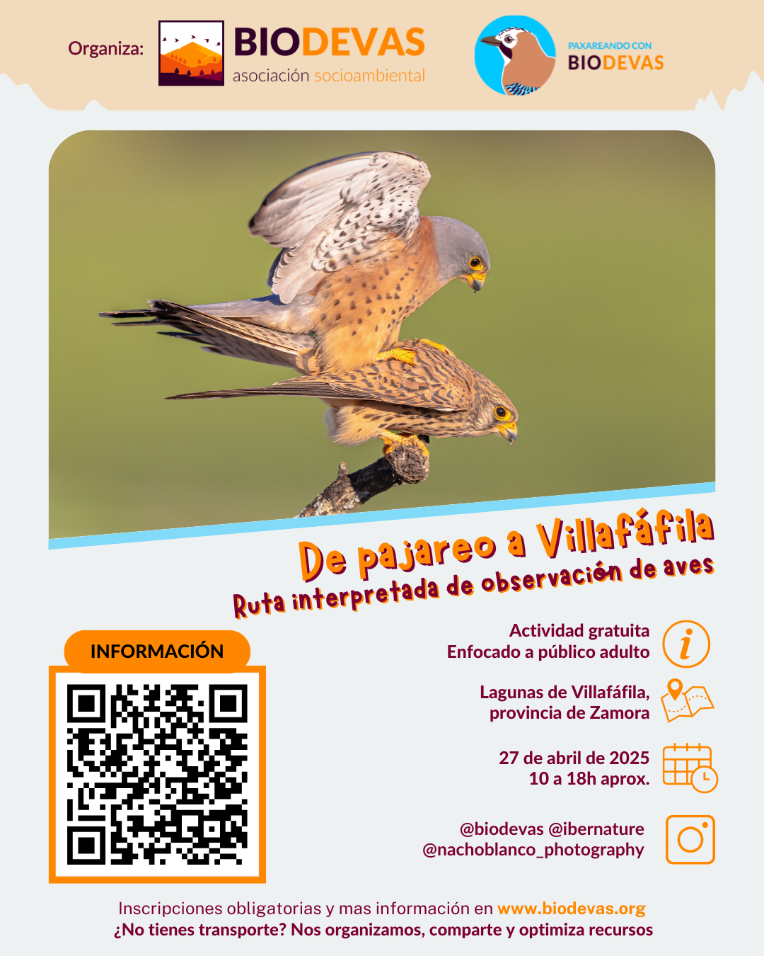De pajareo a Villafáfila