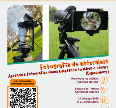 Fotografía de naturaleza. Aprende a fotografiar fauna adaptando tu móvil o cámara (Digiscoping)