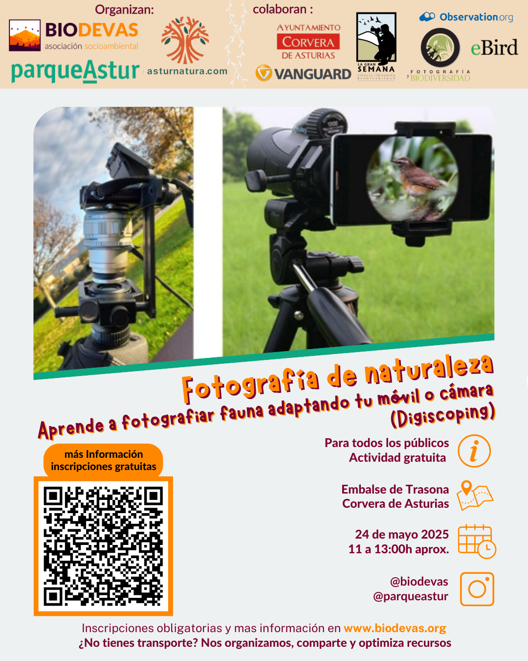 Fotografía de naturaleza. Aprende a fotografiar fauna adaptando tu móvil o cámara (Digiscoping)
