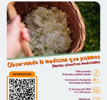 Observando la medicina que pisamos – Fundación Un bosque pa María