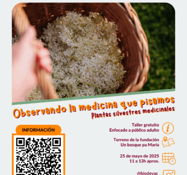 Observando la medicina que pisamos – Fundación Un bosque pa María