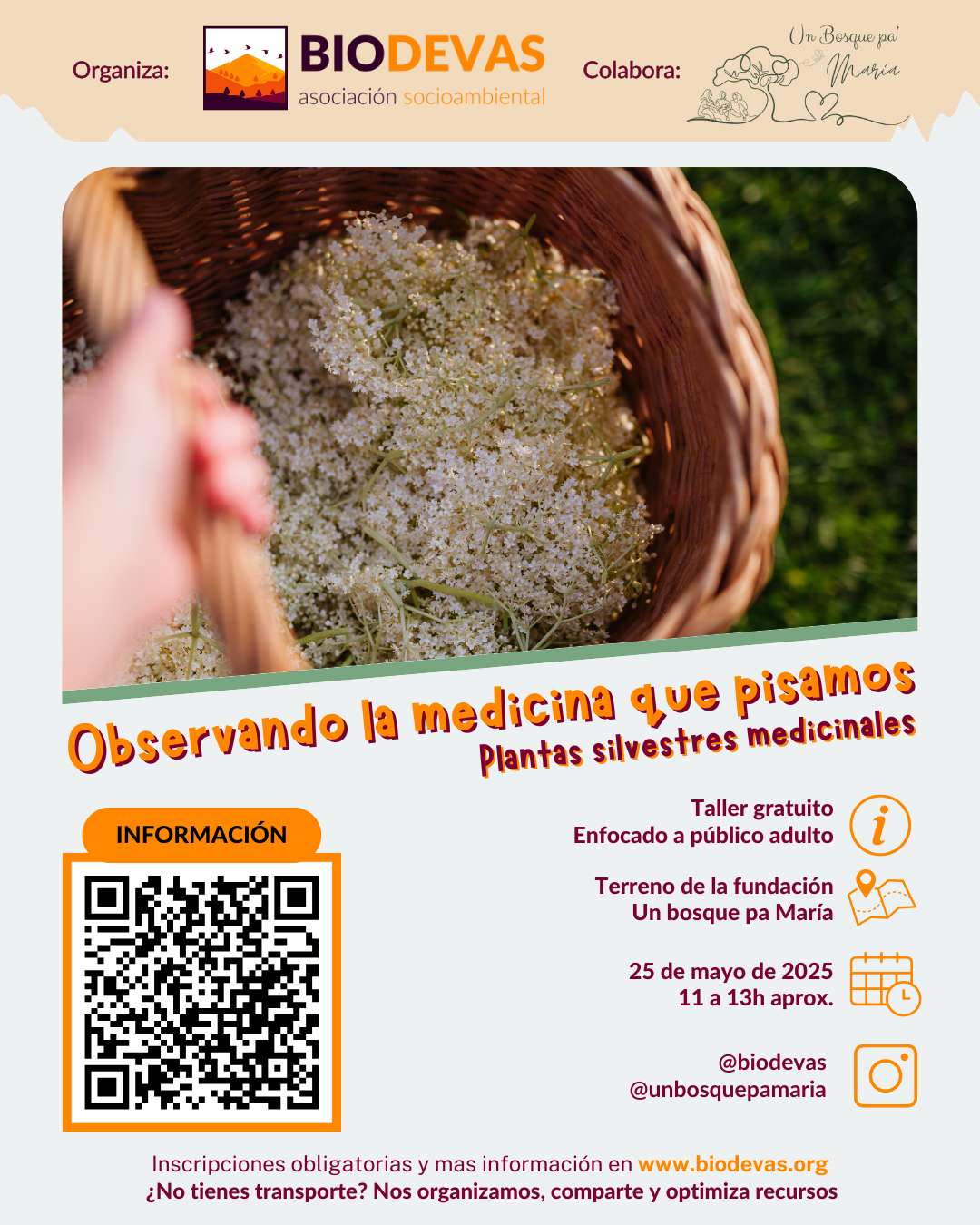 Observando la medicina que pisamos – Fundación Un bosque pa María