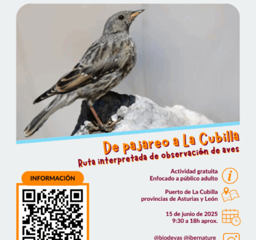De pajareo a La Cubilla