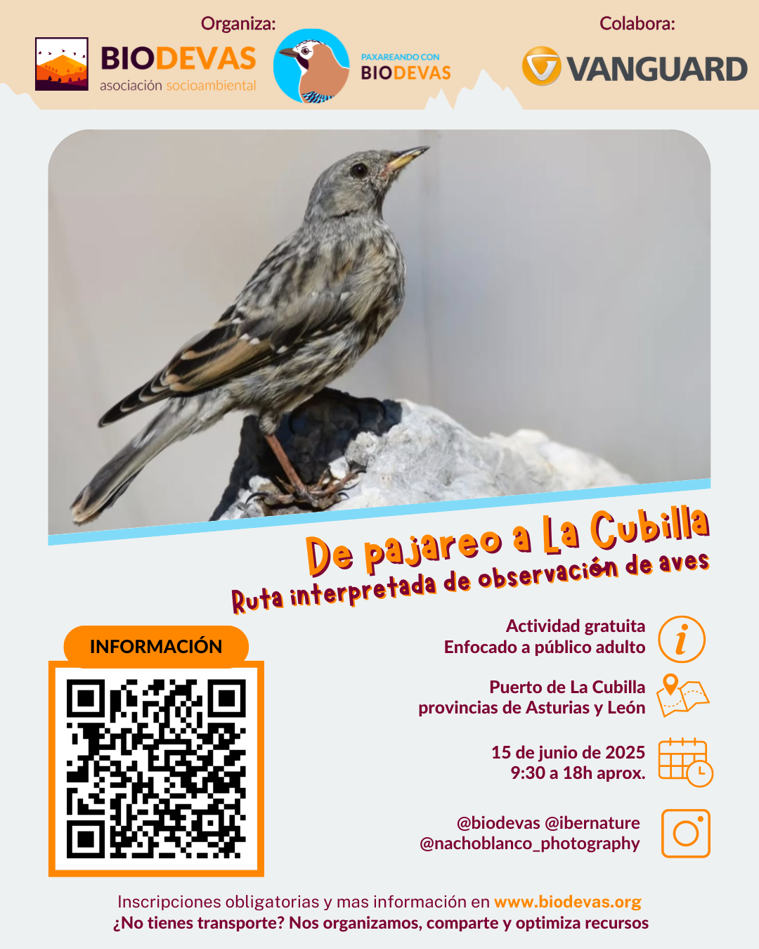 De pajareo a La Cubilla