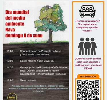 Día mundial del medioambiente 2025
