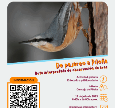De pajareo a Piloña