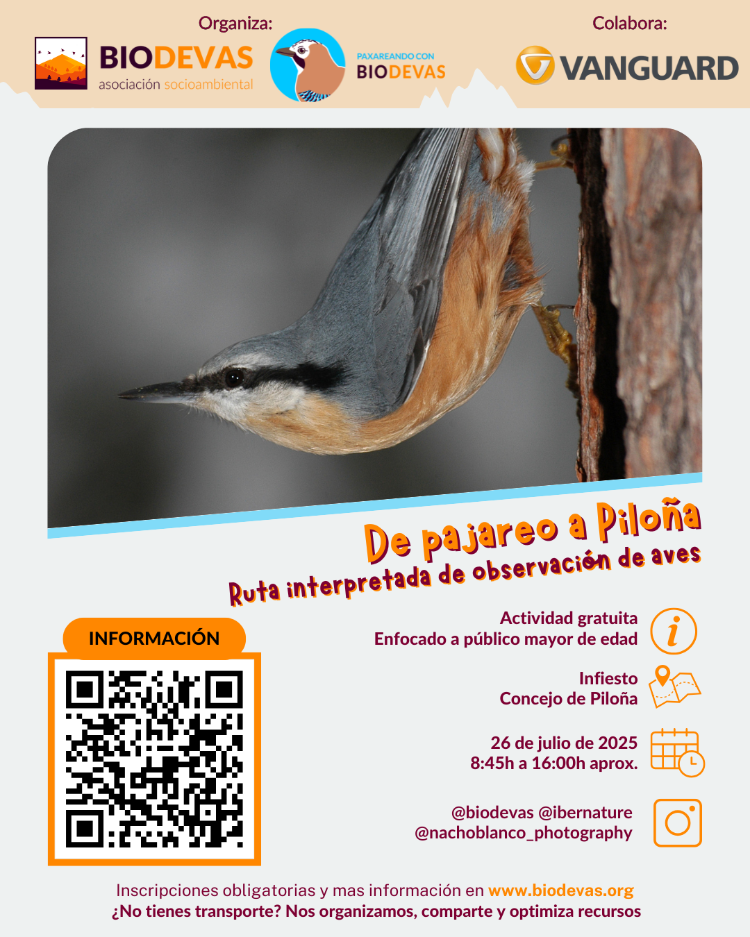 De pajareo a Piloña