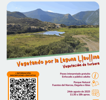 Vegetando por la Laguna Ḷḷauḷḷina. Vegetación de Turbera.