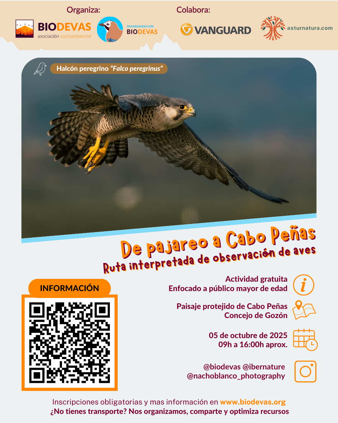 De pajareo al Paisaje Protegido de Cabo Peñas