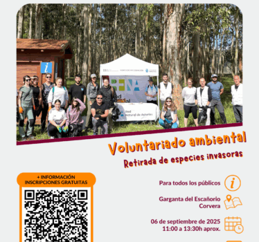 Voluntariado ambiental. Retirada de especies invasoras en la Garganta del Escañorio.