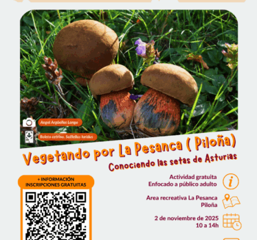 Vegetando por La Pesanca (Piloña) Conociendo las setas de Asturias