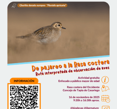 De pajareo a la rasa costera de Tapia.