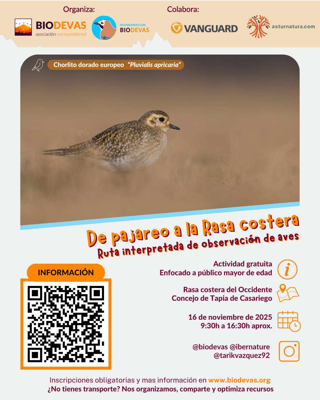 De pajareo a la rasa costera de Tapia.