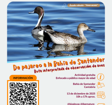 De pajareo a la Bahía de Santander