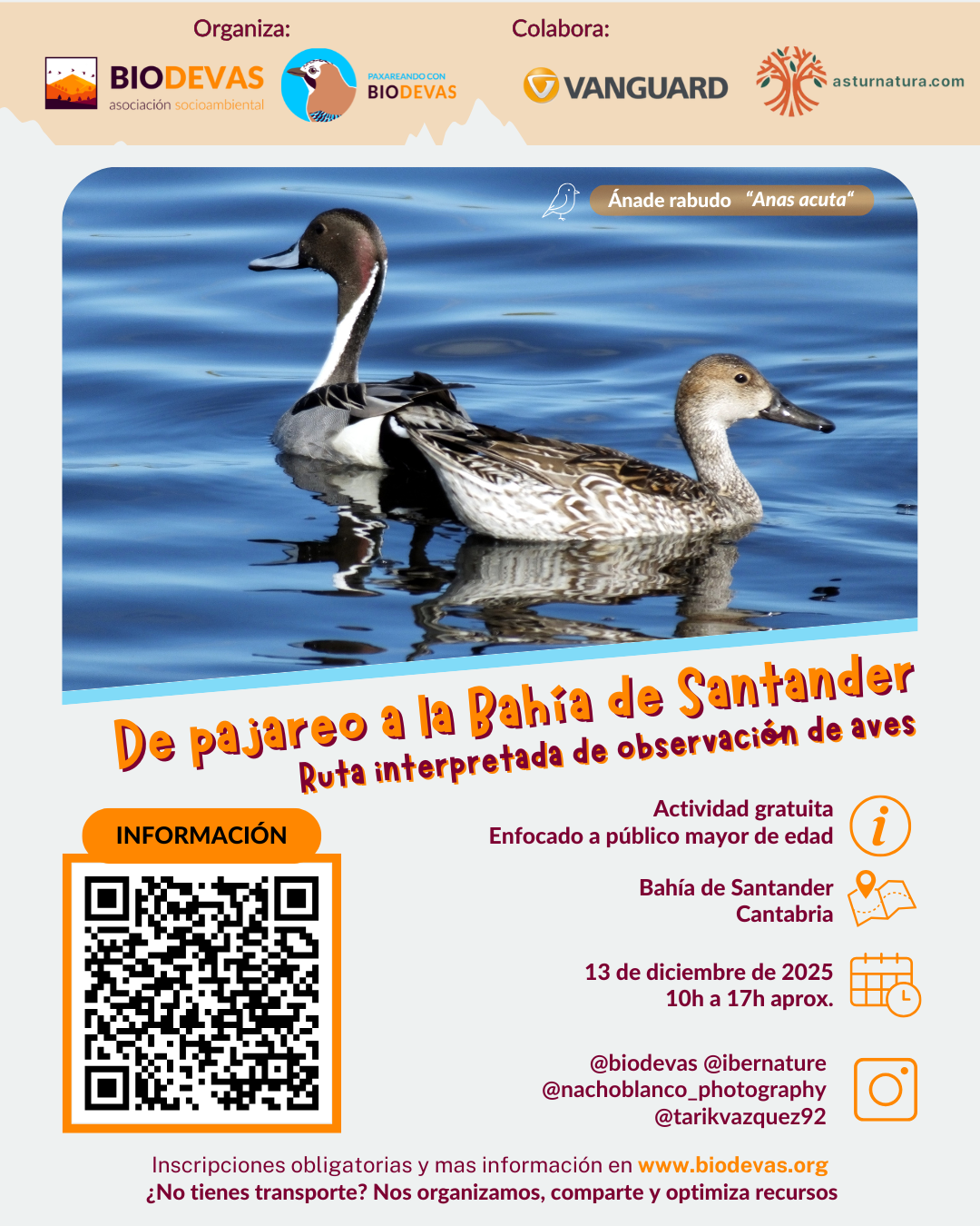 De pajareo a la Bahía de Santander