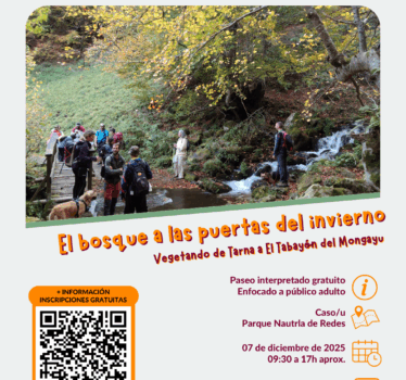 Vegetando por un bosque a las puertas del invierno.