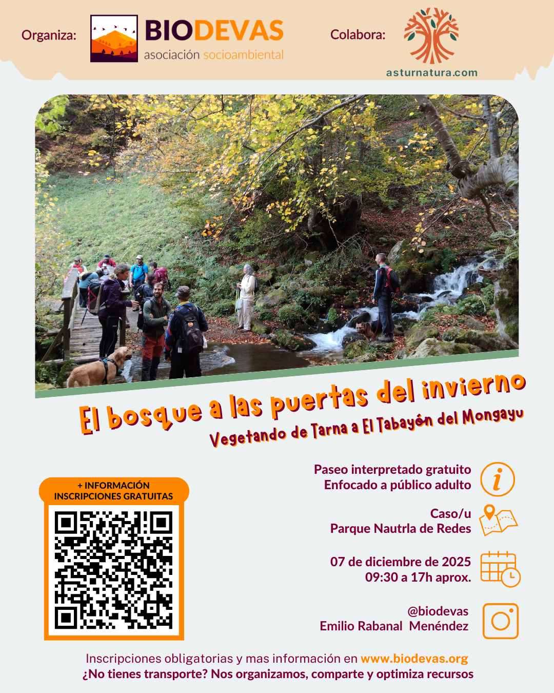 Vegetando por un bosque a las puertas del invierno.