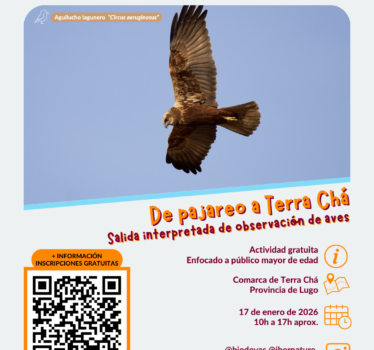 De pajareo a Terra chá