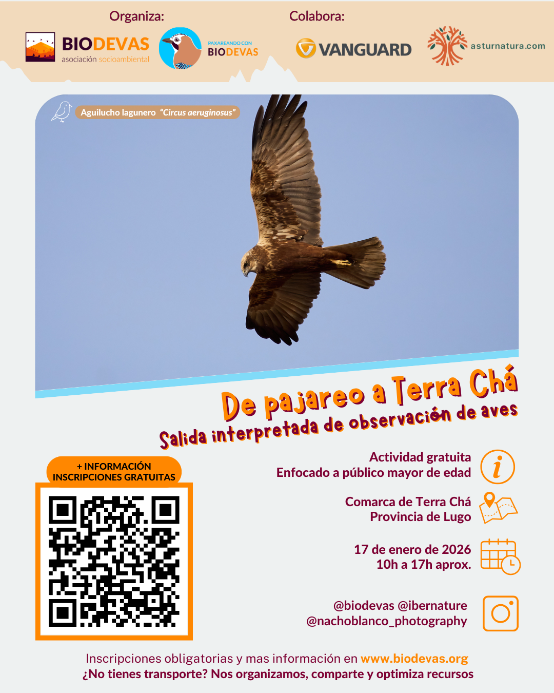 De pajareo a la ría del Eo