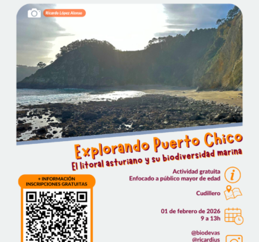Explorando Puerto Chico. El litoral asturiano y su biodiversidad marina