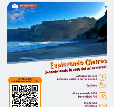 Oleiros a marea baja. Descubriendo la vida del intermareal