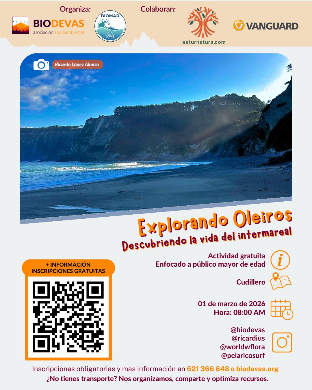 Oleiros a marea baja. Descubriendo la vida del intermareal