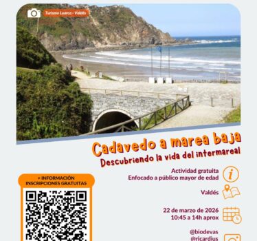 Cadavedo a marea baja. Descubriendo la vida del intermareal