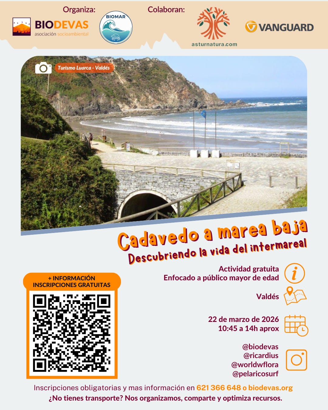 Cadavedo a marea baja. Descubriendo la vida del intermareal
