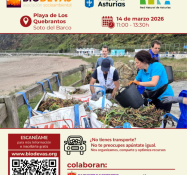 Retirada de plantas invasoras en Playa de Los Quebrantos