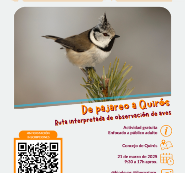 De pajareo a Quirós