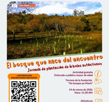 El bosque que nace del encuentro – Plantación de árboles autóctonos