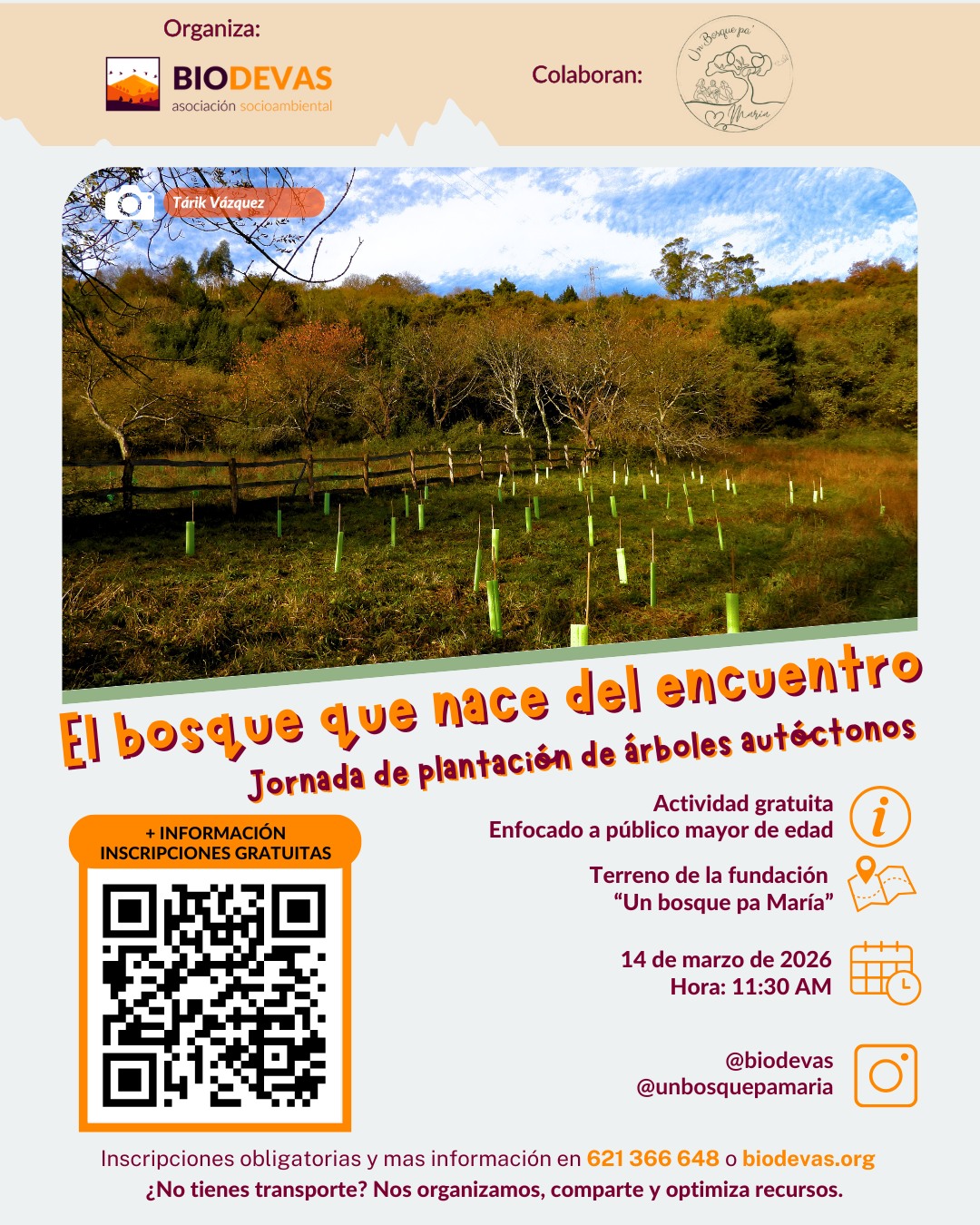 El bosque que nace del encuentro – Plantación de árboles autóctonos