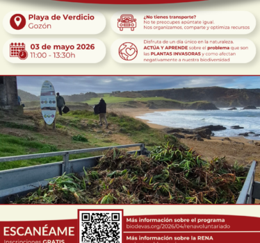 Voluntariado ambiental RENA 2026. Retirada de plantas invasoras en la playa de Verdicio.