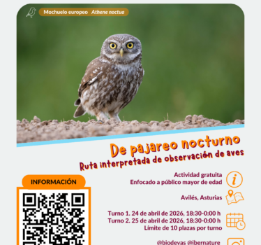 De pajareo nocturno