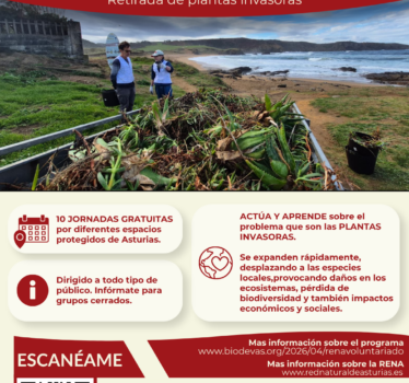PROGRAMA DE VOLUNTARIADO AMBIENTAL RENA 2026. RETIRADA DE PLANTAS INVASORAS EN ASTURIAS.