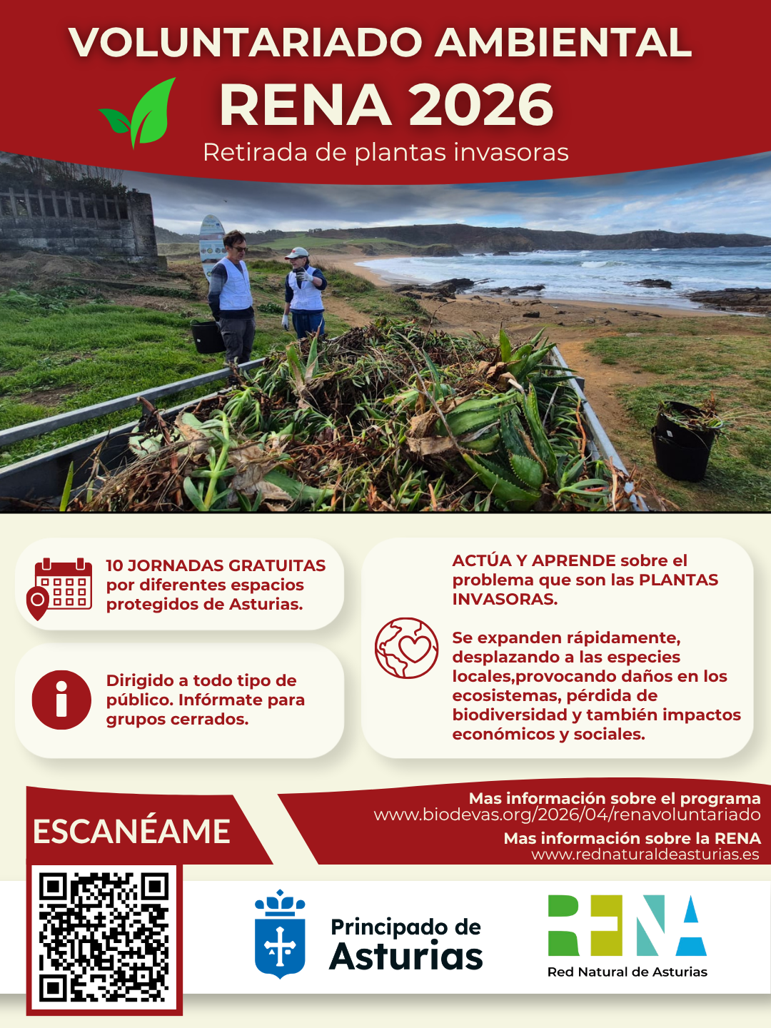 PROGRAMA DE VOLUNTARIADO AMBIENTAL RENA 2026. RETIRADA DE PLANTAS INVASORAS EN ASTURIAS.