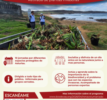 PROGRAMA DE VOLUNTARIADO AMBIENTAL 2026. RETIRADA DE PLANTAS INVASORAS EN ASTURIAS.