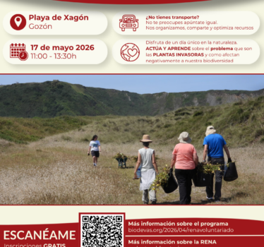 Voluntariado ambiental RENA 2026. Retirada de plantas invasoras en la playa de Xagón.