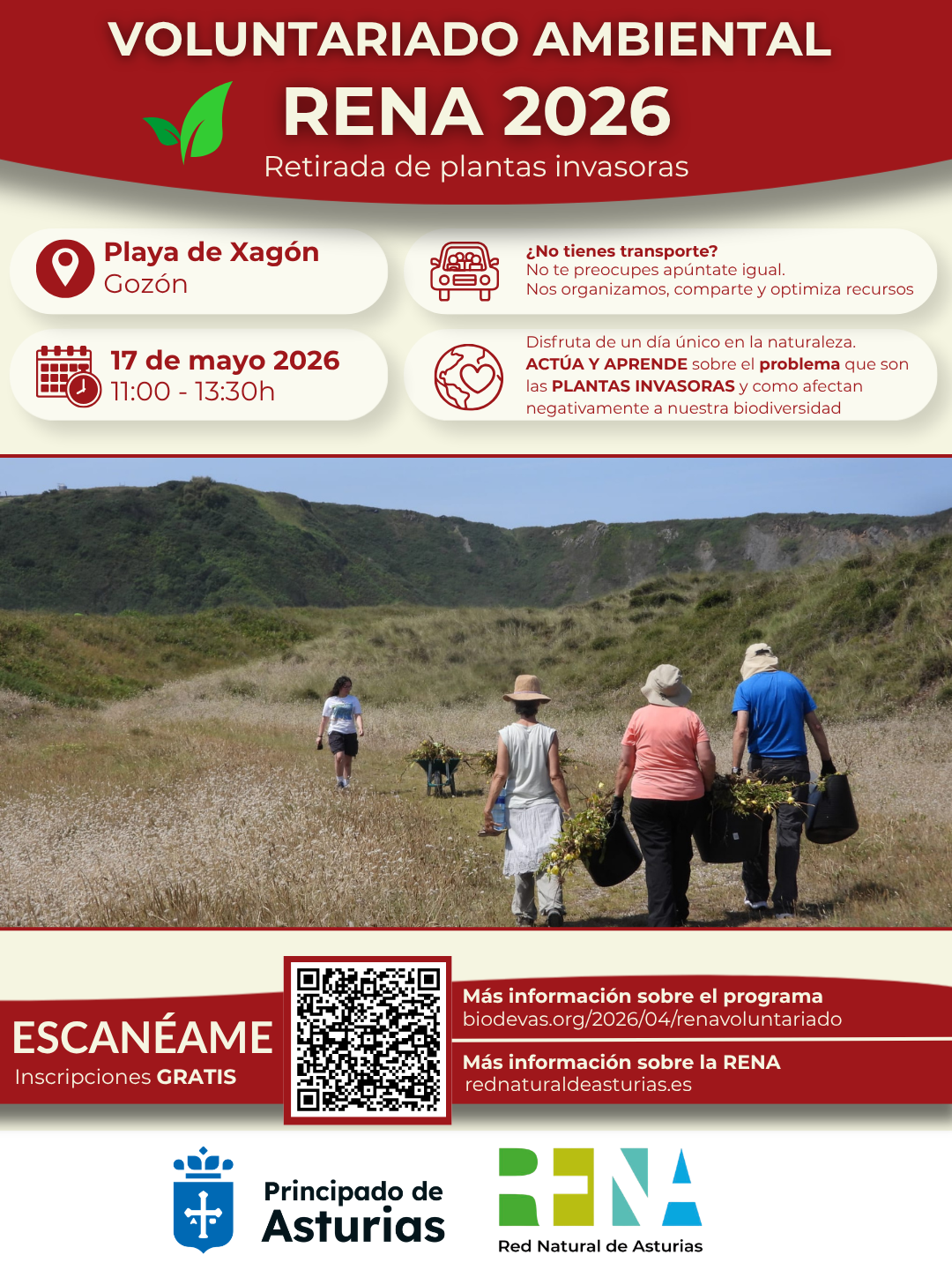 Voluntariado ambiental RENA 2026. Retirada de plantas invasoras en la playa de Xagón.