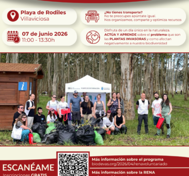 Voluntariado ambiental RENA 2026. Retirada de plantas invasoras en la playa de Rodiles.